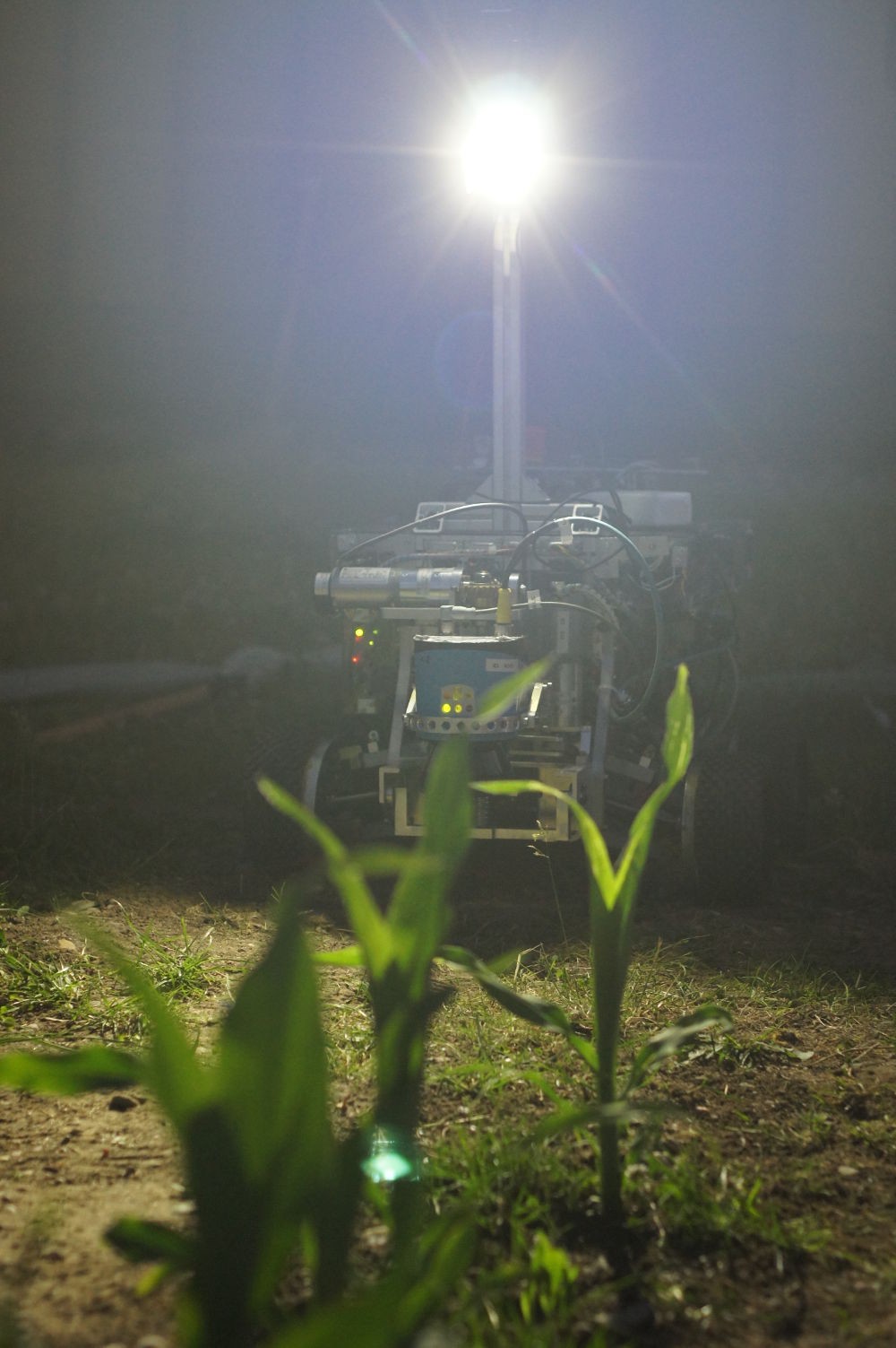 Beteigeuze von vorne strahlt mit dem Fahrlicht in die Kamera