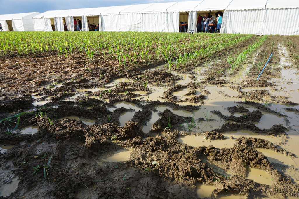 Schlamm und Wasser auf dem Testfeld