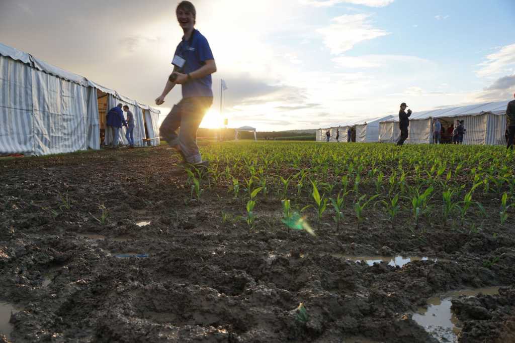 die Gruppen testen die Roboter am Morgen