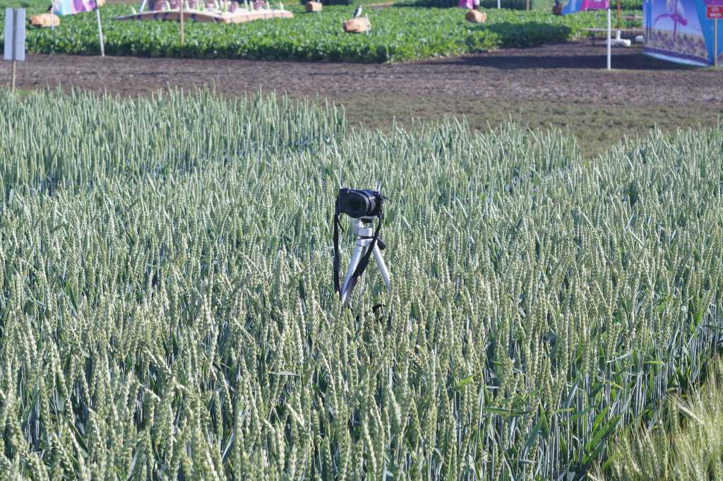 ein Tripod mit Kamera in einem Feld