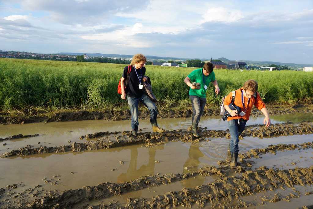 Kamaros waten durch den Schlamm