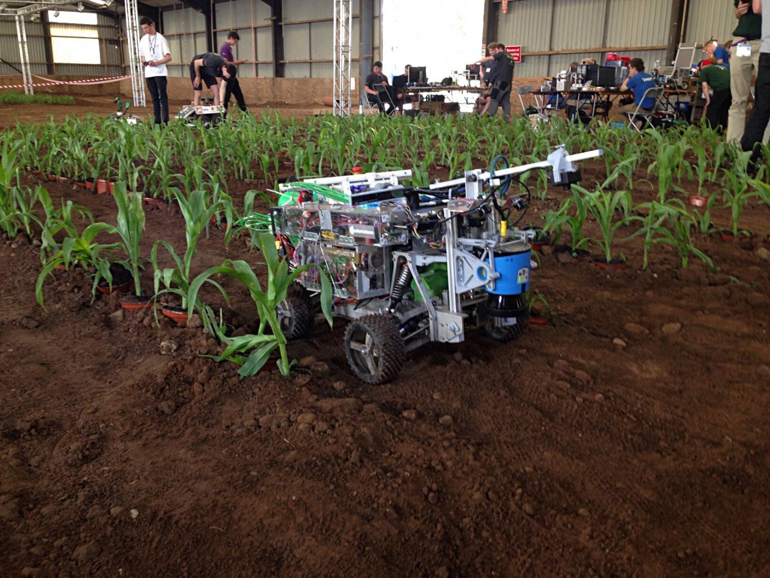 Beteigeuze mit Spritzmodul im Maisfeld.