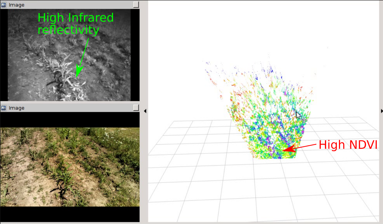 visualization of the camera image, the infrared image and the NDVI values from an image of your maize field