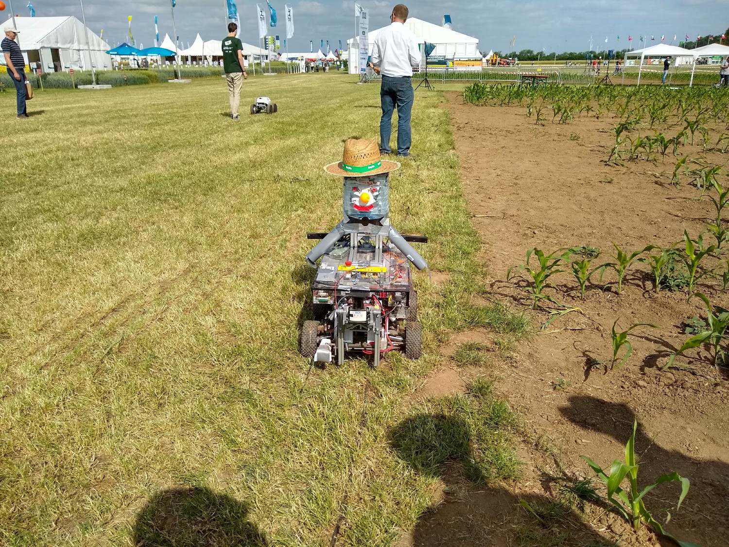 Beteigeuze steht am Feldrand und hat einen Strohhut auf