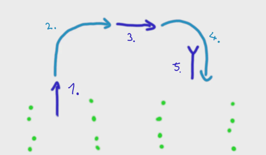 visualization of the 5 states of a row turn
