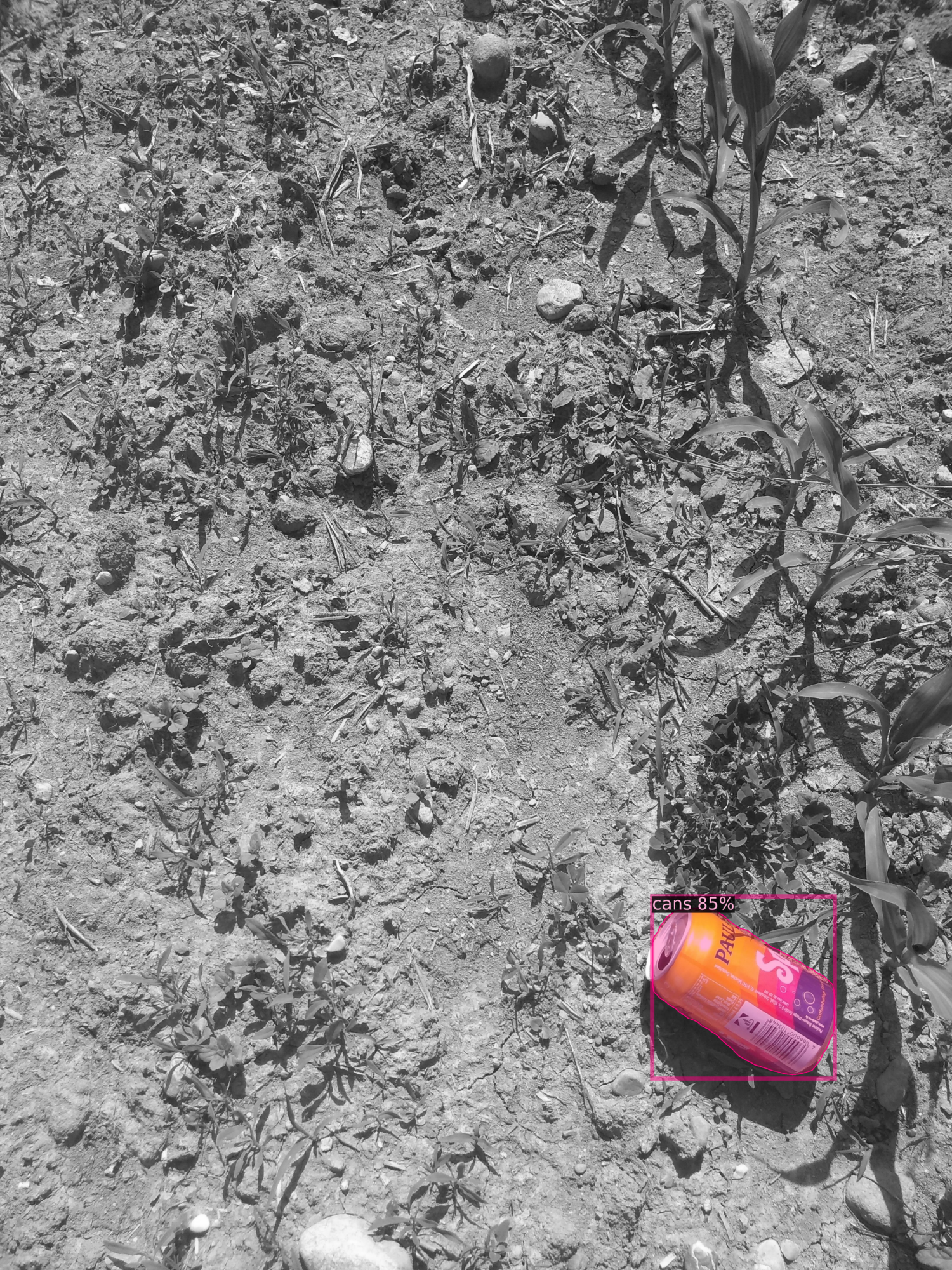 an grayscale image of the ground with the exception of a coke can in color. There is also a bounding box surrounding the can with the title: cans 85%.