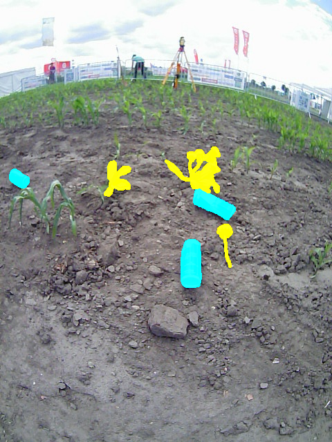 image with mask from some cans and weeds on the fre 2022 training field. All cans are cyan and all weeds are yellow.