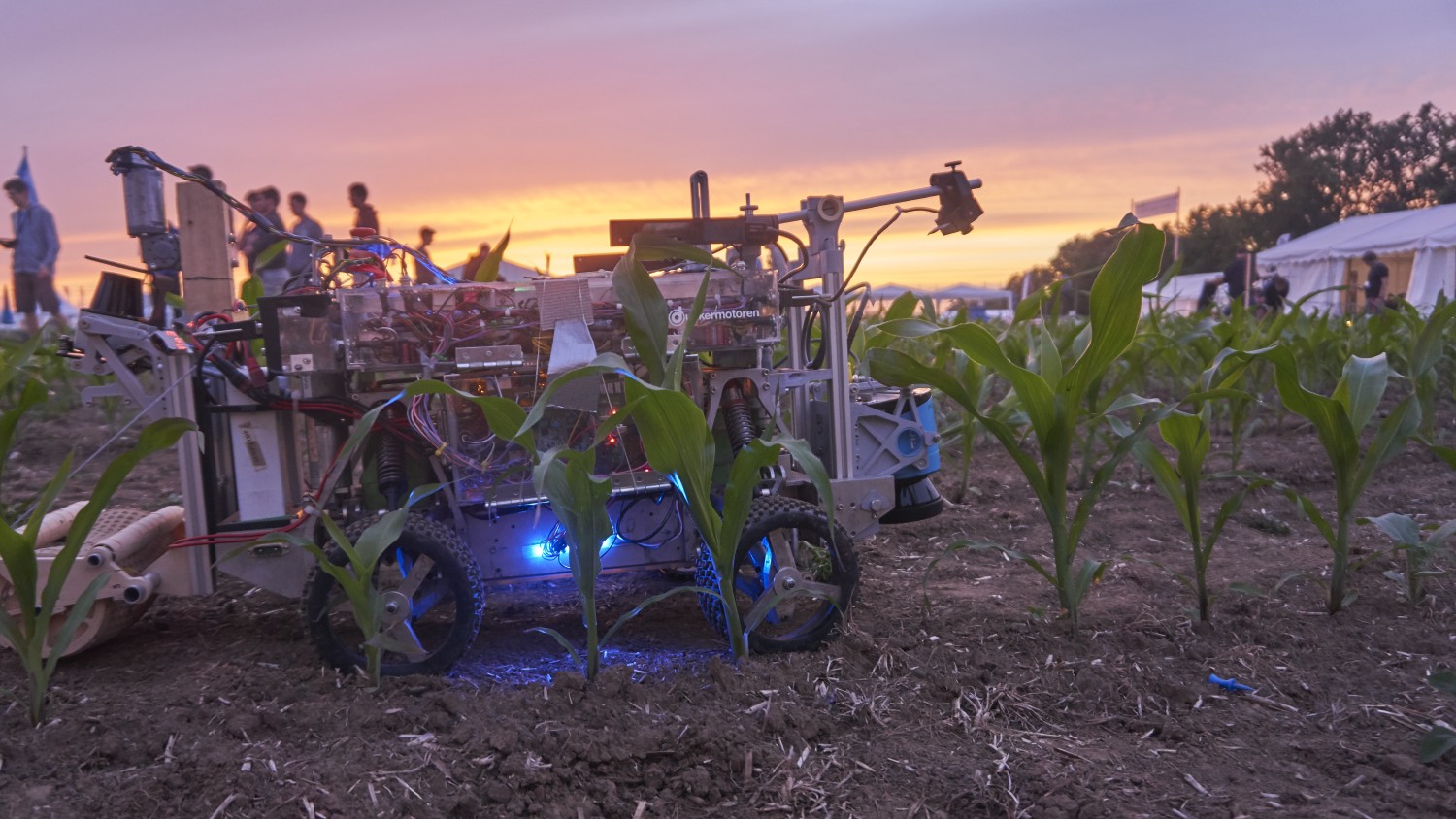 Beteigeuze fährt durch die Maisreihen des Field Robot Events 2018 mit einem Sonnenuntergang im Hintergrund